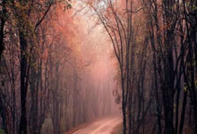 欧博官网：英超传奇兼阿根廷名宿重返解放者杯！独立队或掀翻对手？.