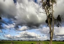 欧博官网：马雷斯卡：换下帕尔默和恩佐有点早，没想到补时有12分钟.