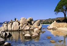 欧博官网：下一站会是这里吗？博格巴社媒晒迈阿密训练视频.